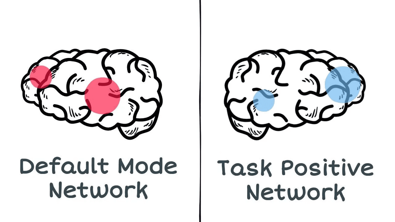 Default Mode Network illustration